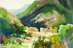 Stephen Quiller- Hawaii 28 x 29Price $800