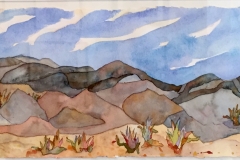 Catherine-Skerker.Desert-Patterns