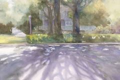 NFWS Board of Directors Award: Martha Rogala, "Chautauqua"