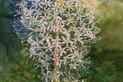 Judge's Choice Award: Sallye Keith, "Beargrass"