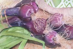 Aline Herion,  Rhinebeck Market,  22" x 14" image