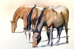 Brenda Cretney, Stable Mates, 19" x 23" image