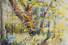 Jennifer Koury, Into the Woods, Chestnut Ridge Park, 15" x 22" image