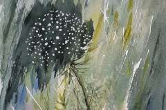 "Wild Carrot" by Marilyn Susko Drnevich, $150