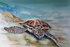 "Sea Turtle" by Ric Feeney, $500