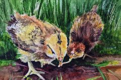 "Dug of War" by Janet Ide, NFS