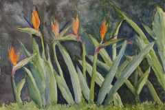 "Paradise Found" by Jean Jain, $300