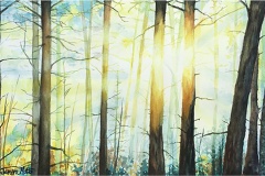 "Morning Reboot" by Janine Motto, $325