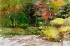 Judge's Choice Award, Edge of Forest, Manning McCandlish