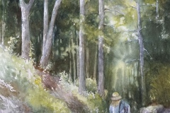 Judge's Choice Award, In Search of the Perfect Light, Martha Rogala