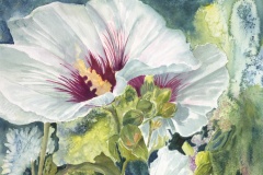 Aline Herion, Rose of Sharon, 22x30, $3,200