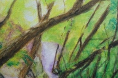 Sandra Heath, Gorge Trail, 9x12, $400