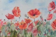 Stella Dai, Poppy II, 7.5x22, $490