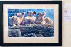 Judge’s Choice Award: Dan Meyer’s “Two’s Company"