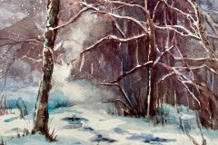 Third Place Award: Carol Case Siracuse’s “Winter Colors"