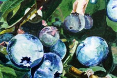 -Michael-A.-Cancilla-Jr., Blueberries_8x10