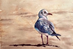  Carol-Case-Siracuse_Lone-Gull_10x14