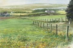 Michael-Killelea, Irish-Field_9X12